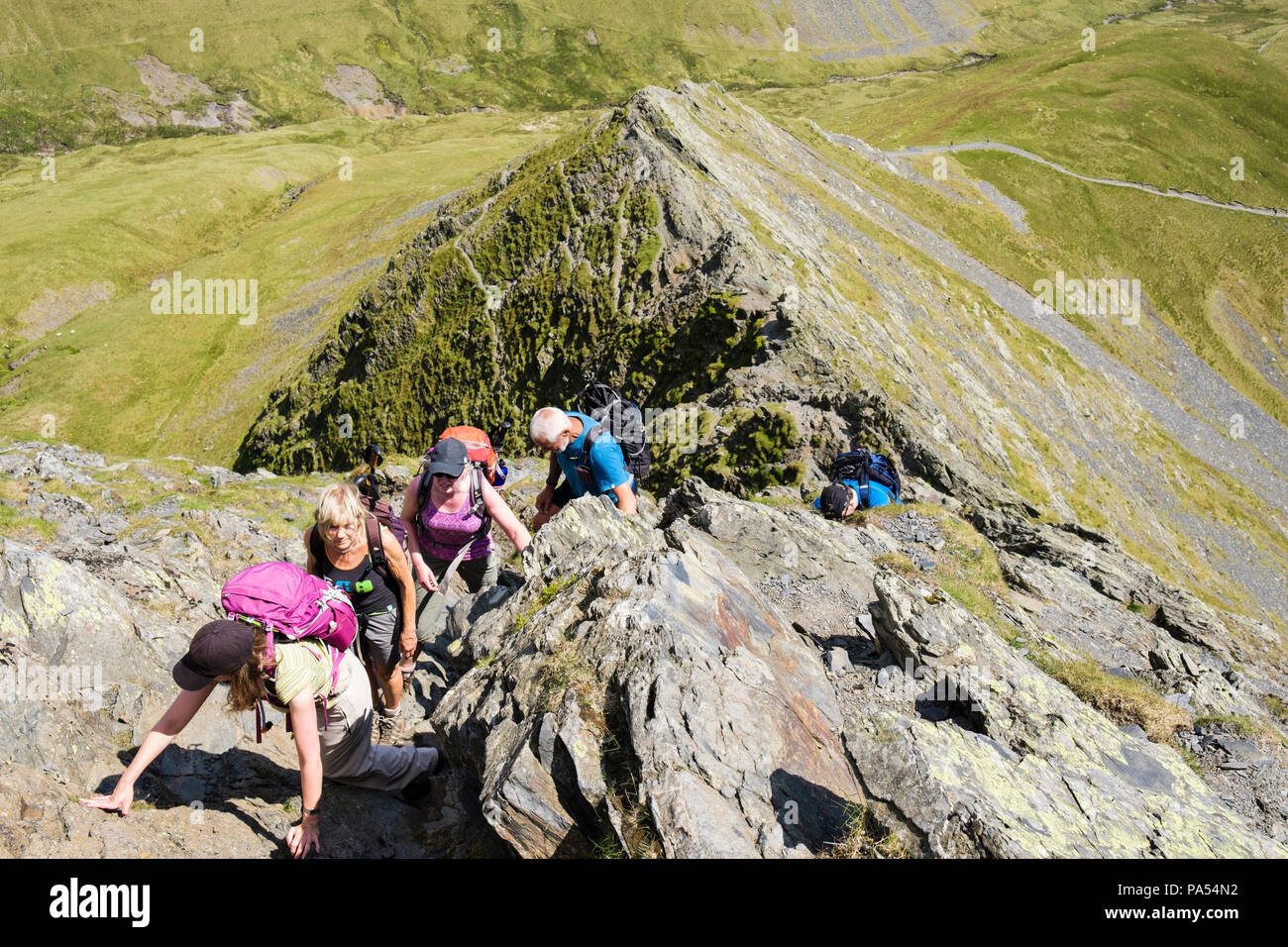 Hiking group of hikers scrambling above Sharp Edge on Blencathra