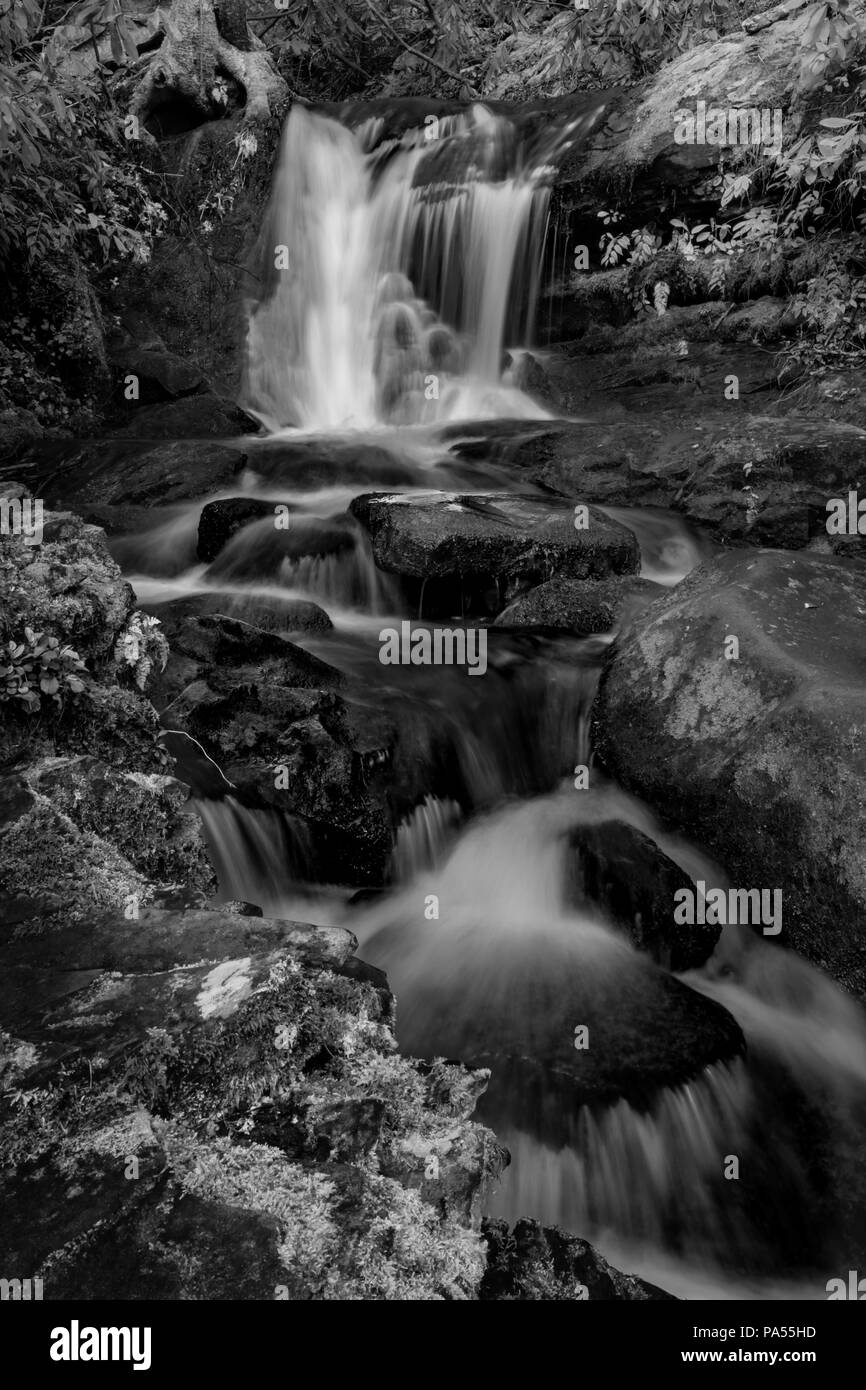 Water Rushing Through Husky Branch Falls Black and White Stock Photo ...