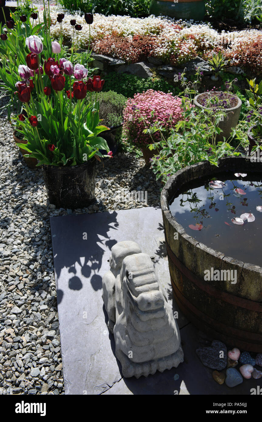 Half an oak barrel used as a pond, a cement dragon, slate slabs, hearts, gravel, tulips in pots & other flowers in a garden near Caernarfon, Wales, UK Stock Photo