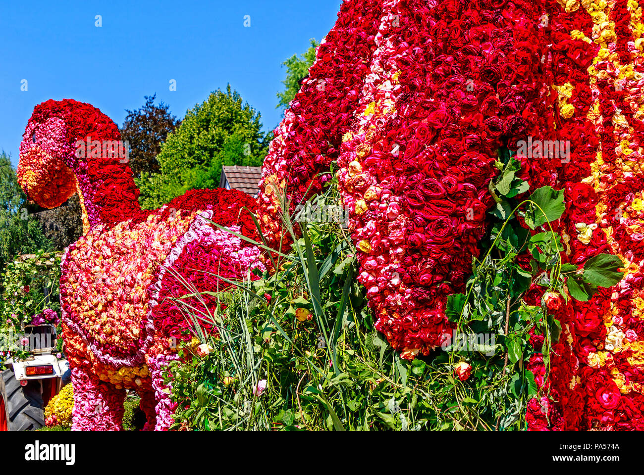 STEINFURTH, GERMANY-JULY 15, 2018: Giant dinosaur made of thousands of roses. Steinfurth celebrates 150 years of rose cultivation with a large parade. Stock Photo