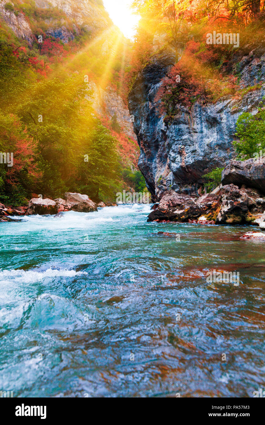 Fremmedgørelse Behov for Selv tak beauty nature scenery landscape background. Nature composition. Beautiful  landscape Stock Photo - Alamy