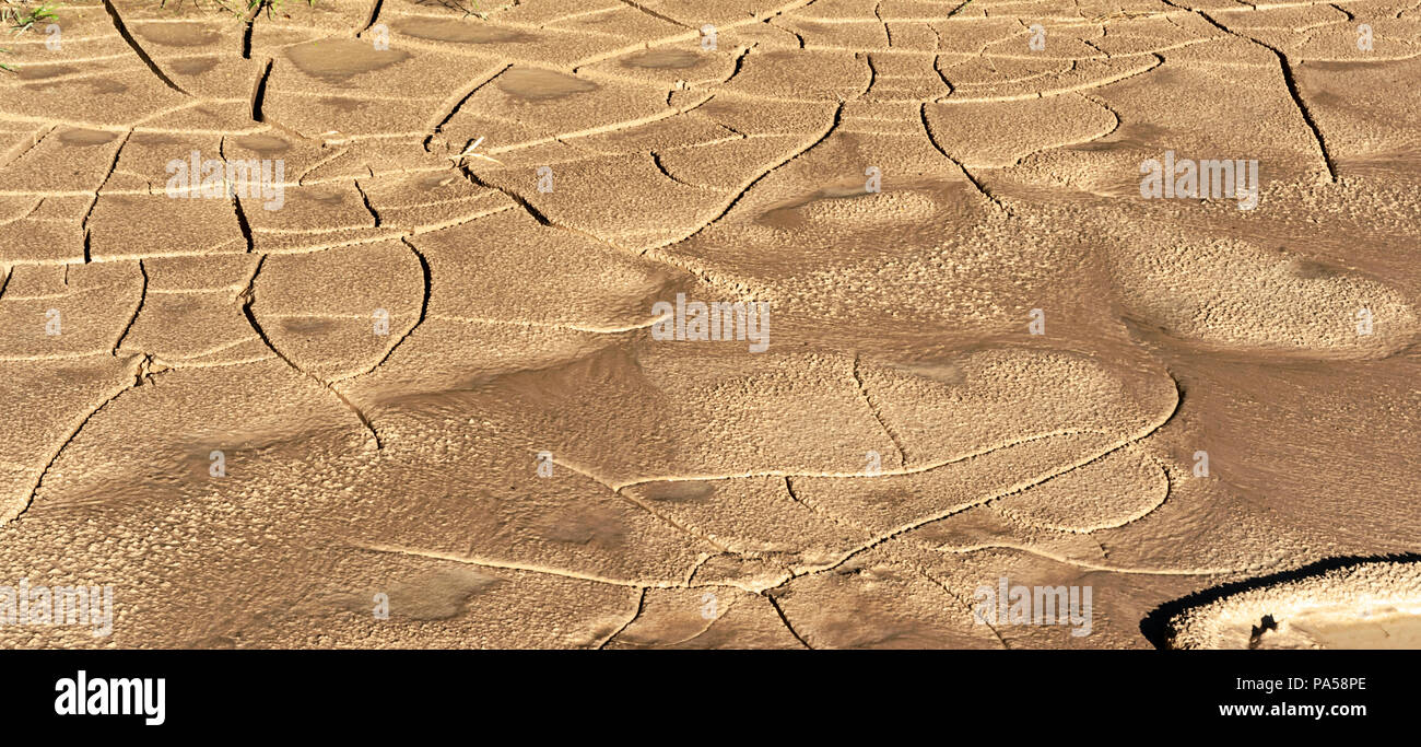 Cracked and dried Rio Grande riverbed at Big Bend National Park Stock Photo