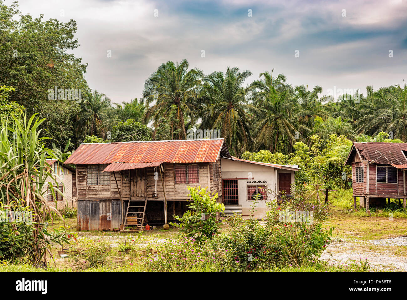 Typical family houses in small village in rural area, Malaysia. Stock Photo