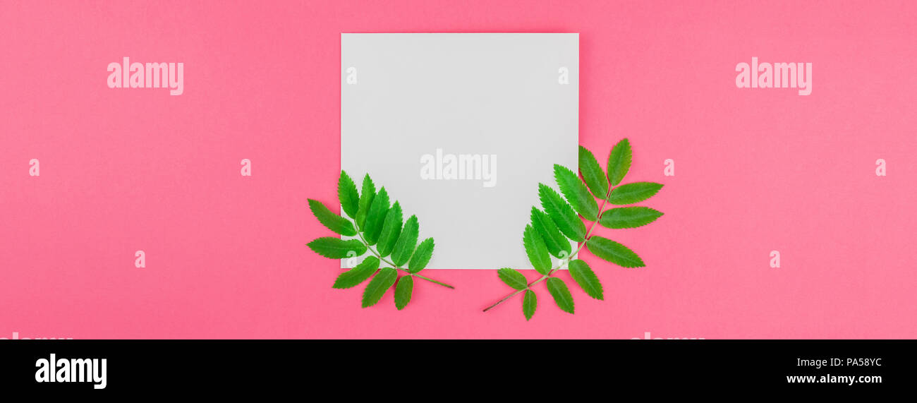 Creative flat lay top view white letter mock up with fresh green rowan ...