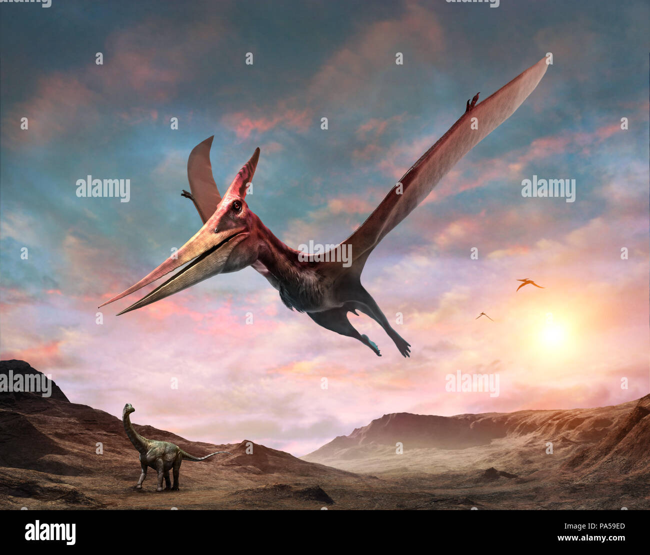 Pteranodon scene 3D illustration Stock Photo
