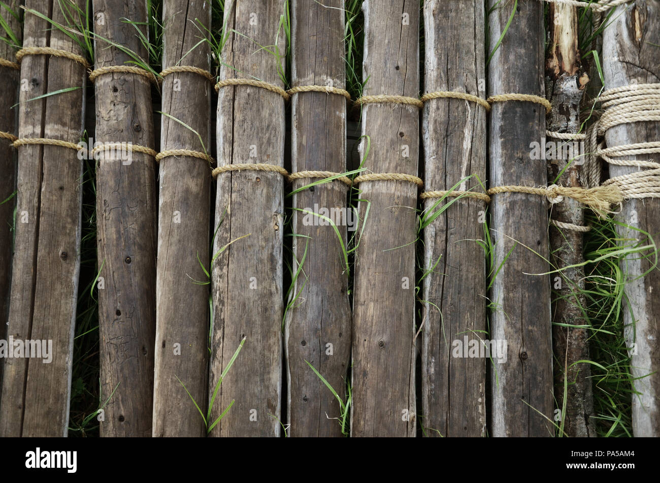 Wooden logs tied together with rope to make a raft which is laying on