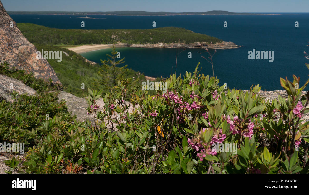 Landscape with spring flowers in foreground and granite boulders in middle ground with bay and islands in background on a sunny day. Stock Photo