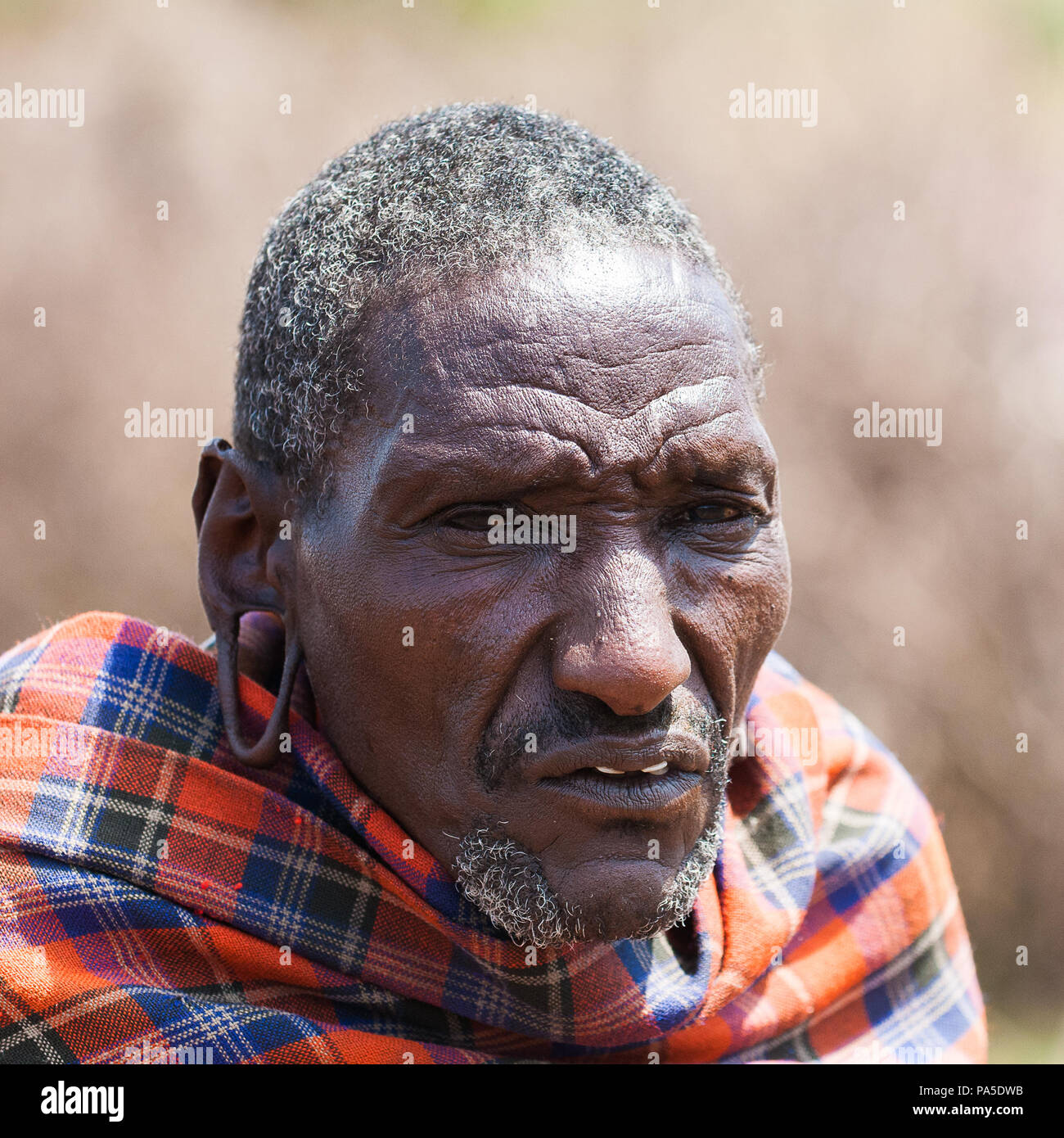 Portrait Old Native South African High Resolution Stock Photography and ...