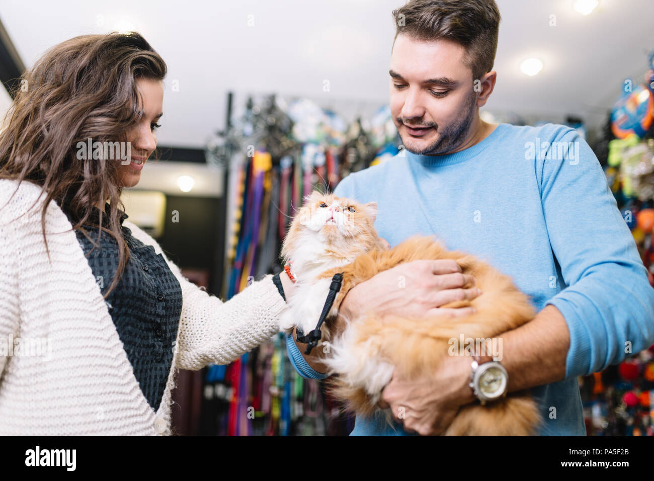 Young couple with their persians cat in pet shop. Stock Photo