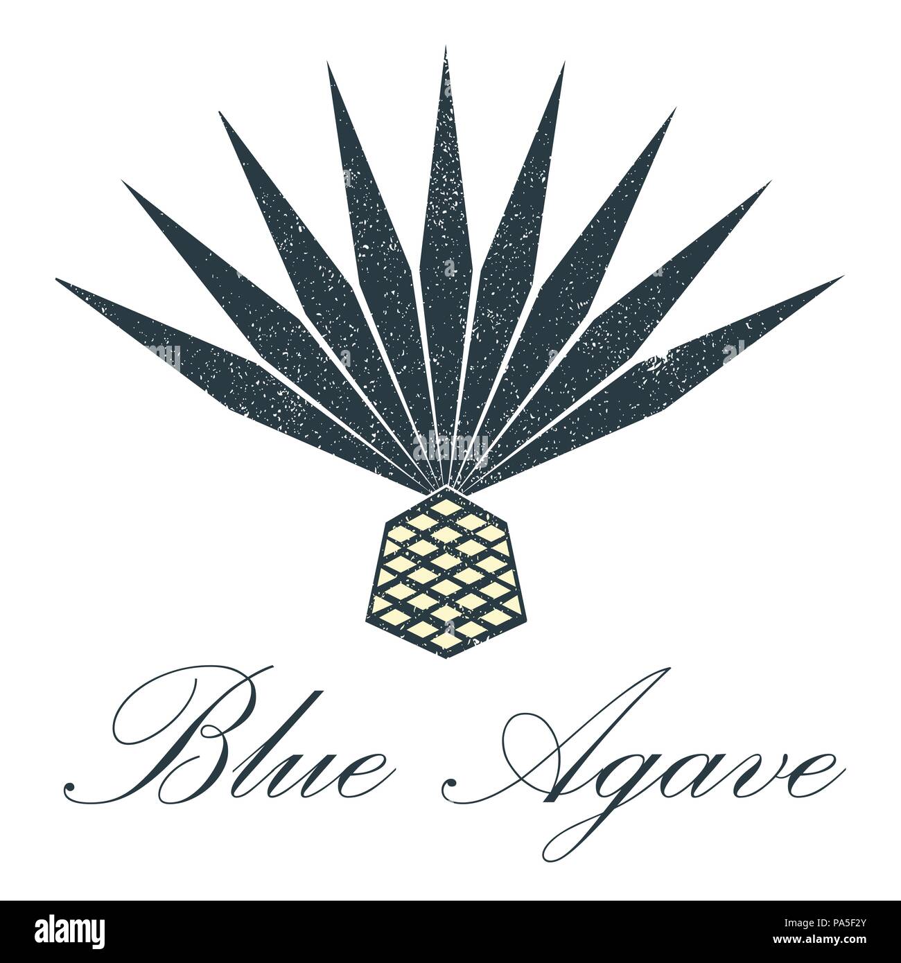 Blue agave logo. Vector design Stock Vector Image & Art - Alamy
