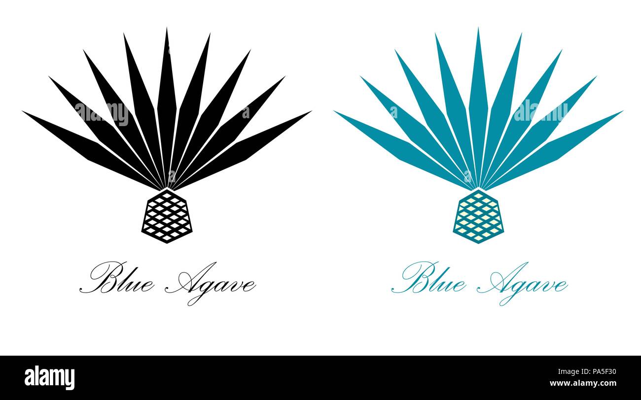 Blue Agave Or Tequila Agave Plant Agave Logo Design Stock Vector Image Art Alamy,White Asparagus Soup