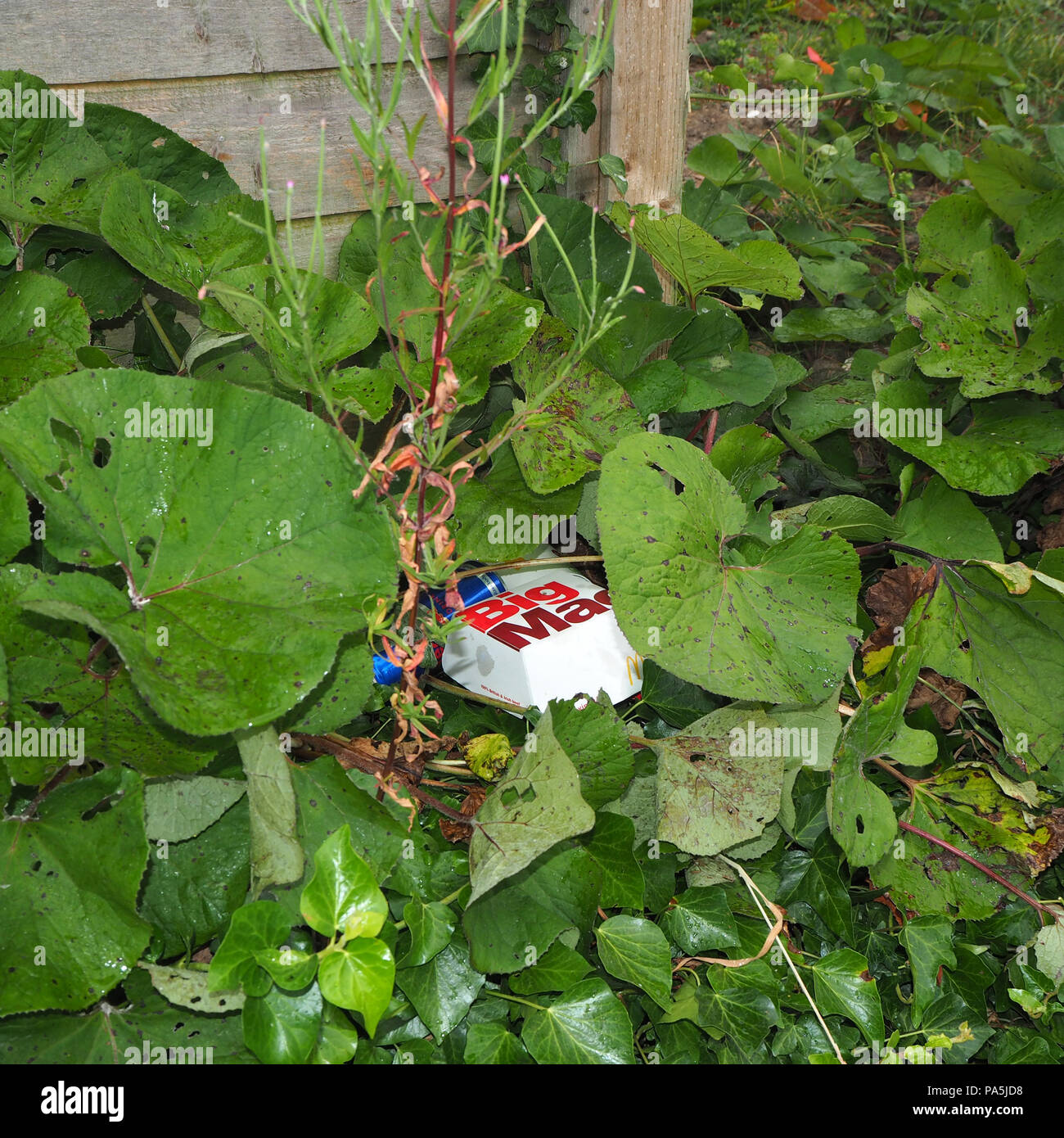 Sneaky dumping of rubbish on the street Stock Photo Alamy