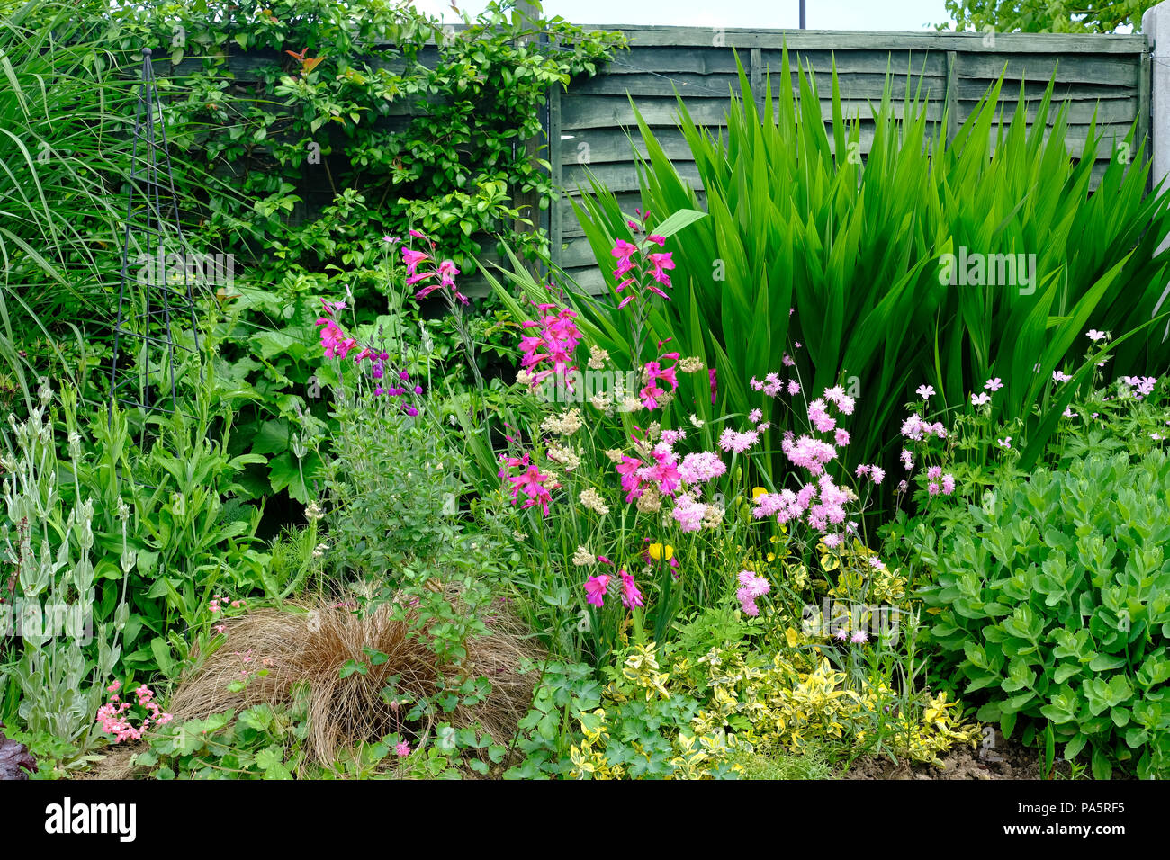 Beautiful herbaceous border planting in shades of lilac and pink Stock Photo