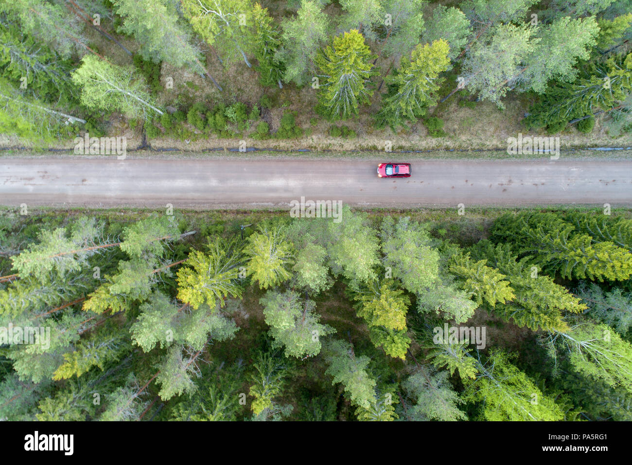 High angle aerial view of read car on forest road Stock Photo