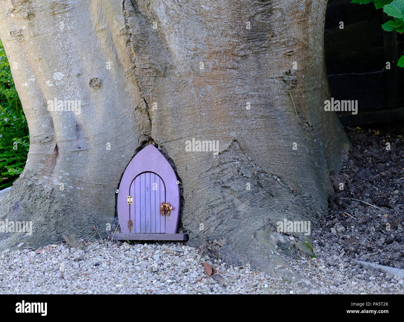 Tiny Faerie door at base of tree Stock Photo