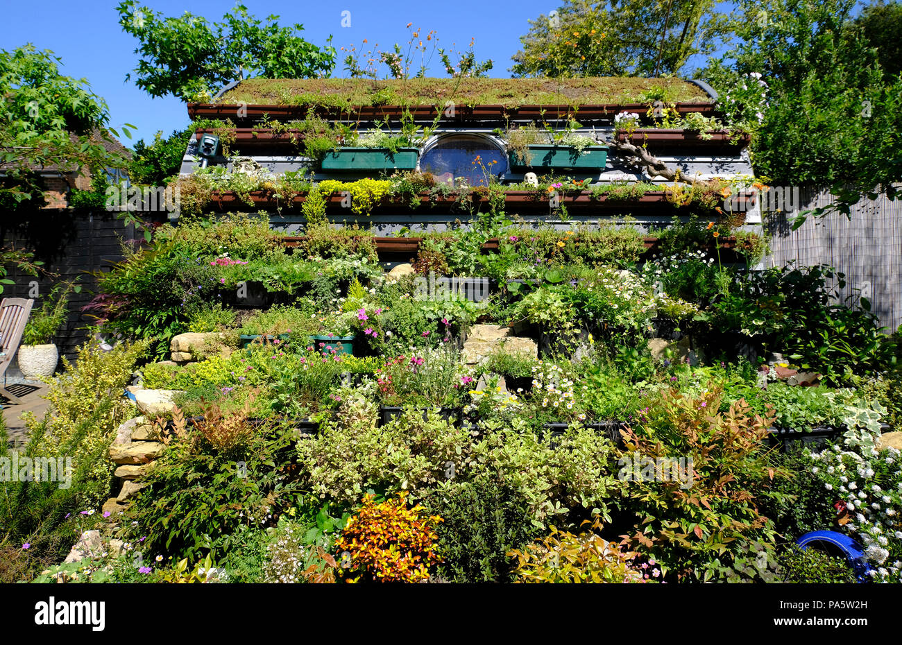 Sedum roof and cascading planting in English garden Stock Photo