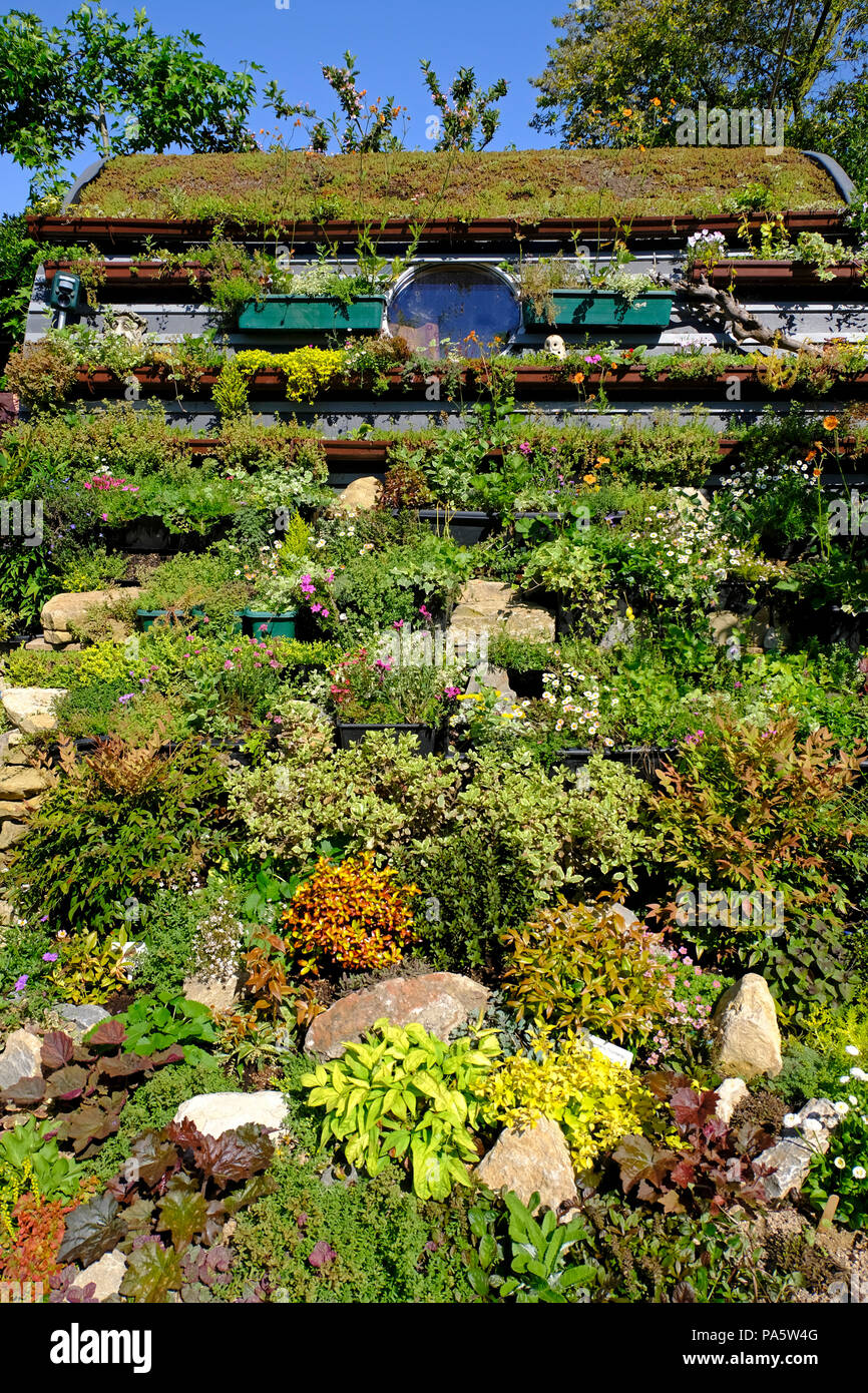 Sedum roof and cascading planting in English garden Stock Photo