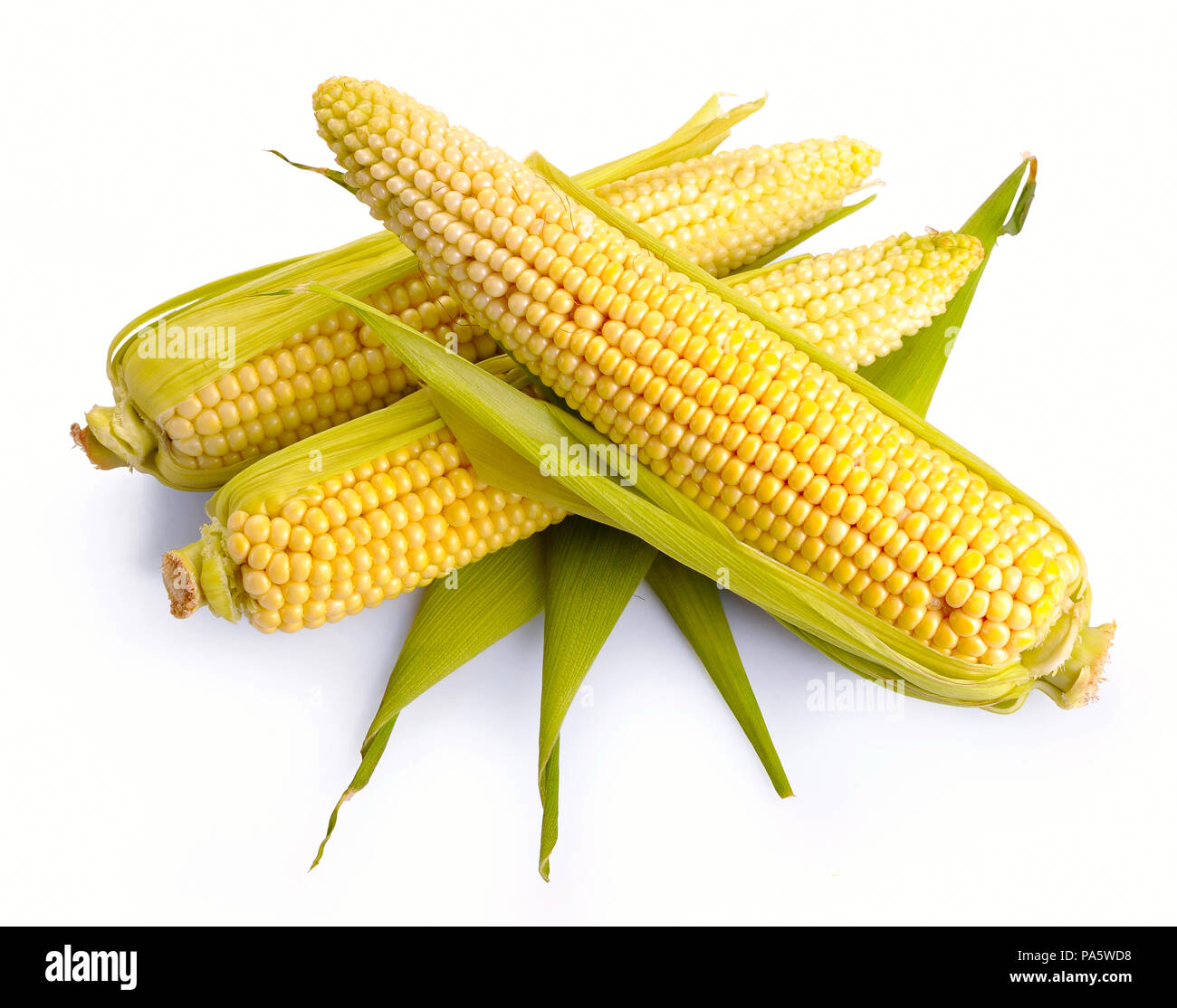 fresh corn fruits with green leaves isolated on white background Stock Photo