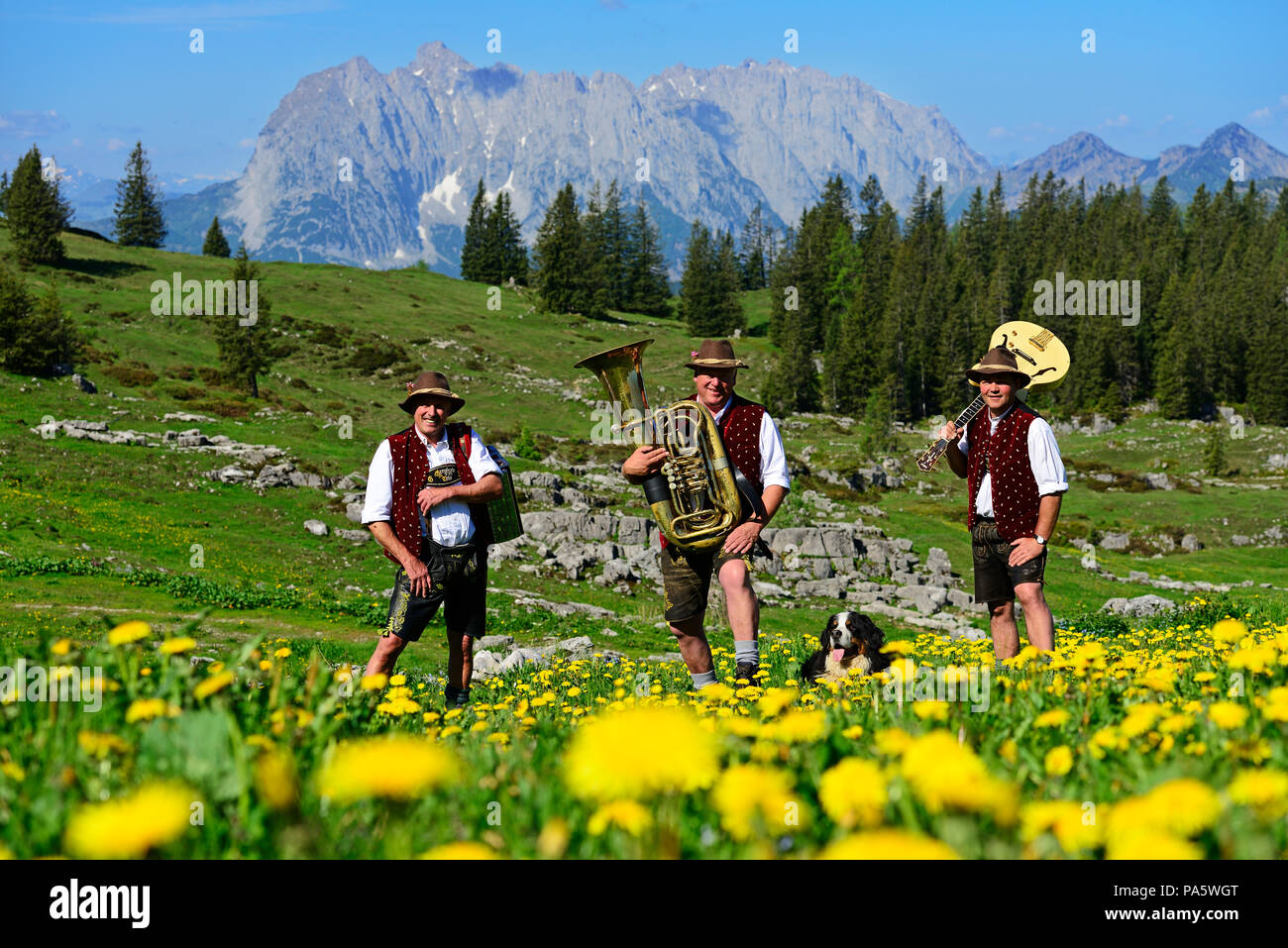 Three folk musicians with instruments, Bergfexn trio in traditional costume on the Eggenalm, behind Wilder Kaiser, Reit im Winkl Stock Photo