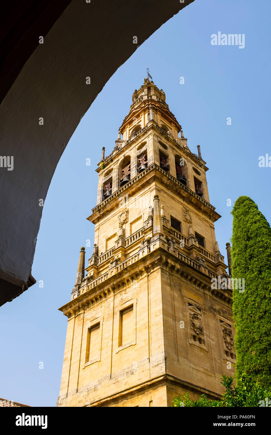 Mezquita: The Great Mosque–Cathedral of Cordoba, Andalusia, Spain Stock Photo