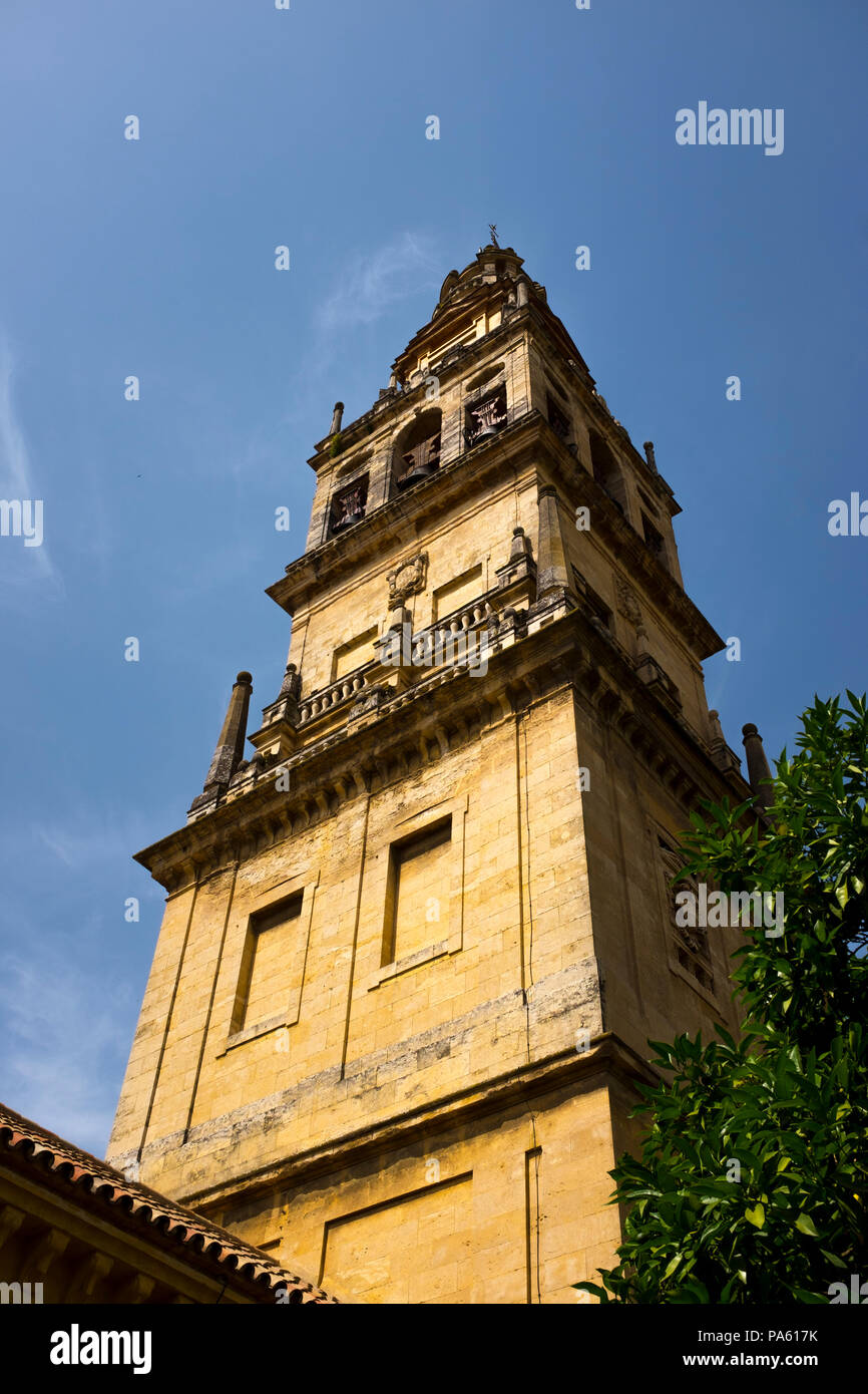 Mezquita: The Great Mosque–Cathedral of Cordoba, Andalusia, Spain Stock Photo
