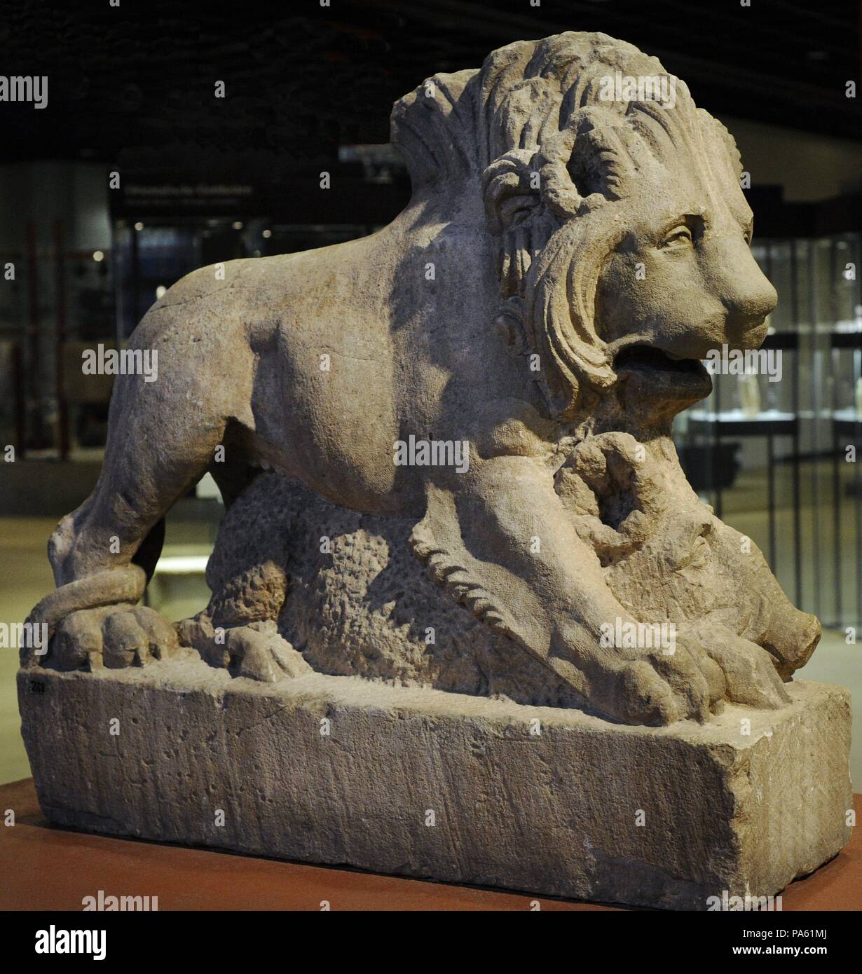 Statue of a lion killing a boar, symbol of death. 2nd century. From Cologne, Germany. Roman-Germanic Museum. Cologne. Germany. Stock Photo