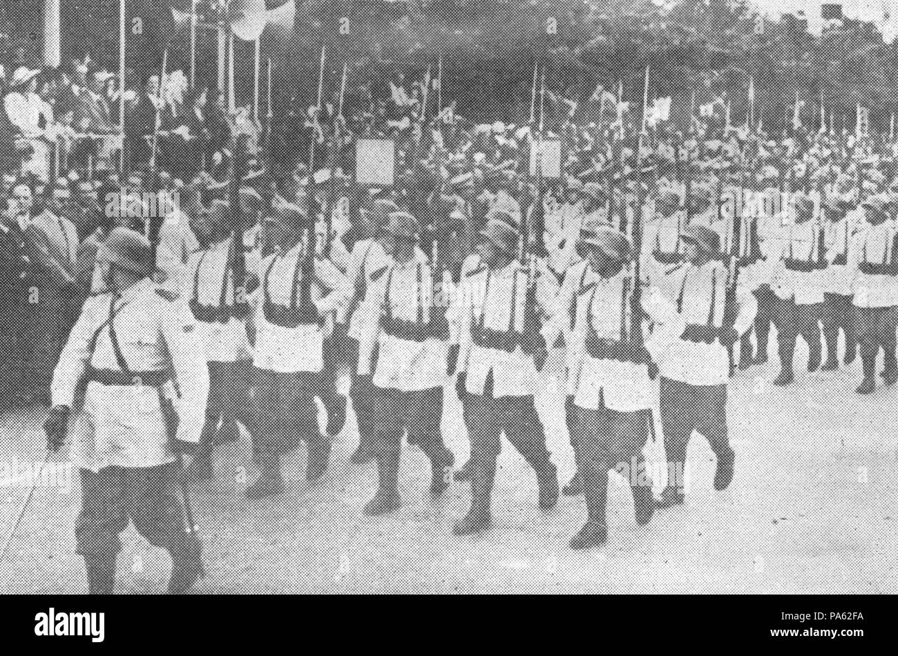 34 Biblioteca del Senado de la Provincia - 33 - Con su habitual marcialidad desfilaron en La Plata las fuerzas armadas Stock Photo