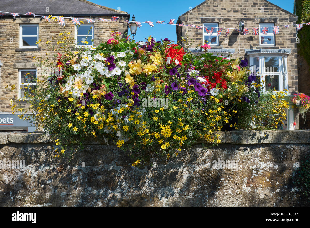 Pateley Bridge High Street display of container flowers in readiness for 'Village in Bloom' judging. Nidderdale Stock Photo