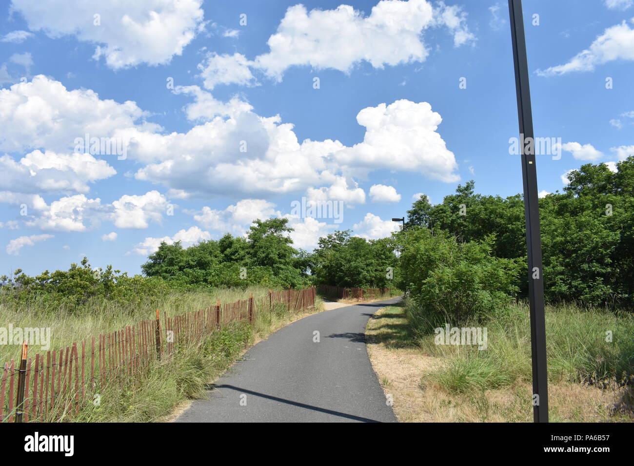 Tree lined path on a beautiful day Stock Photo