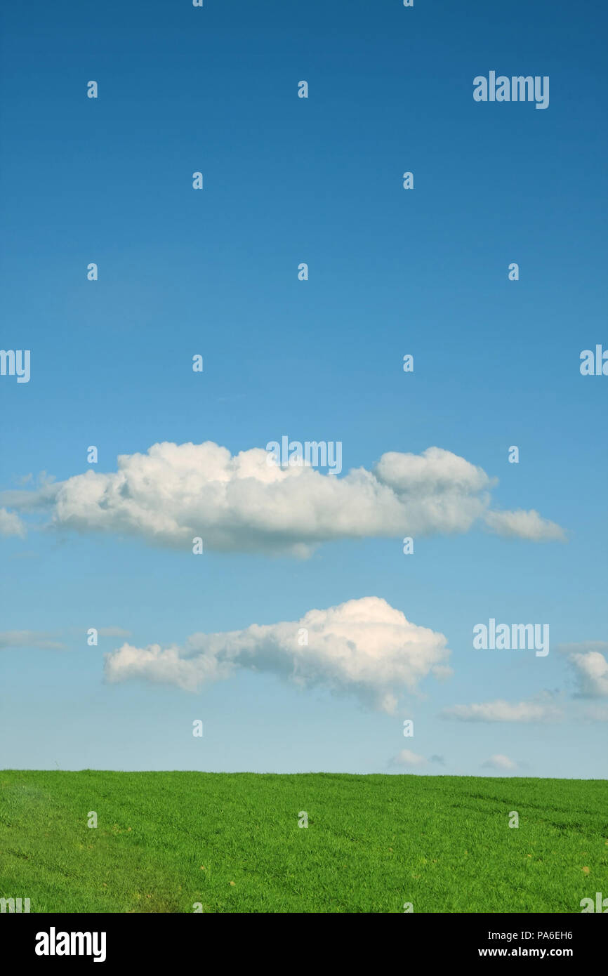 A photography of a green grass background Stock Photo - Alamy