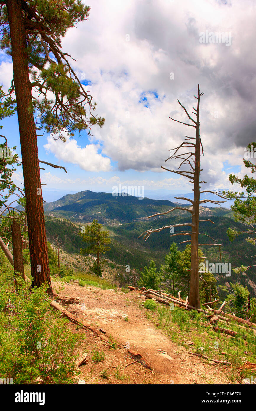 Mount lemmon hi-res stock photography and images - Alamy