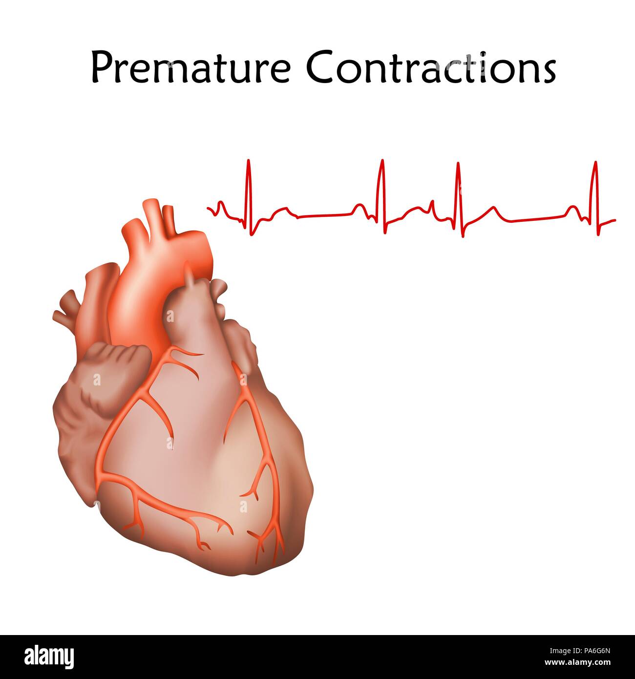 прыгать по сердцу. почему сердце прыгает. почему сердце прыгает. почему сердце прыгает. почему сердце стучит.