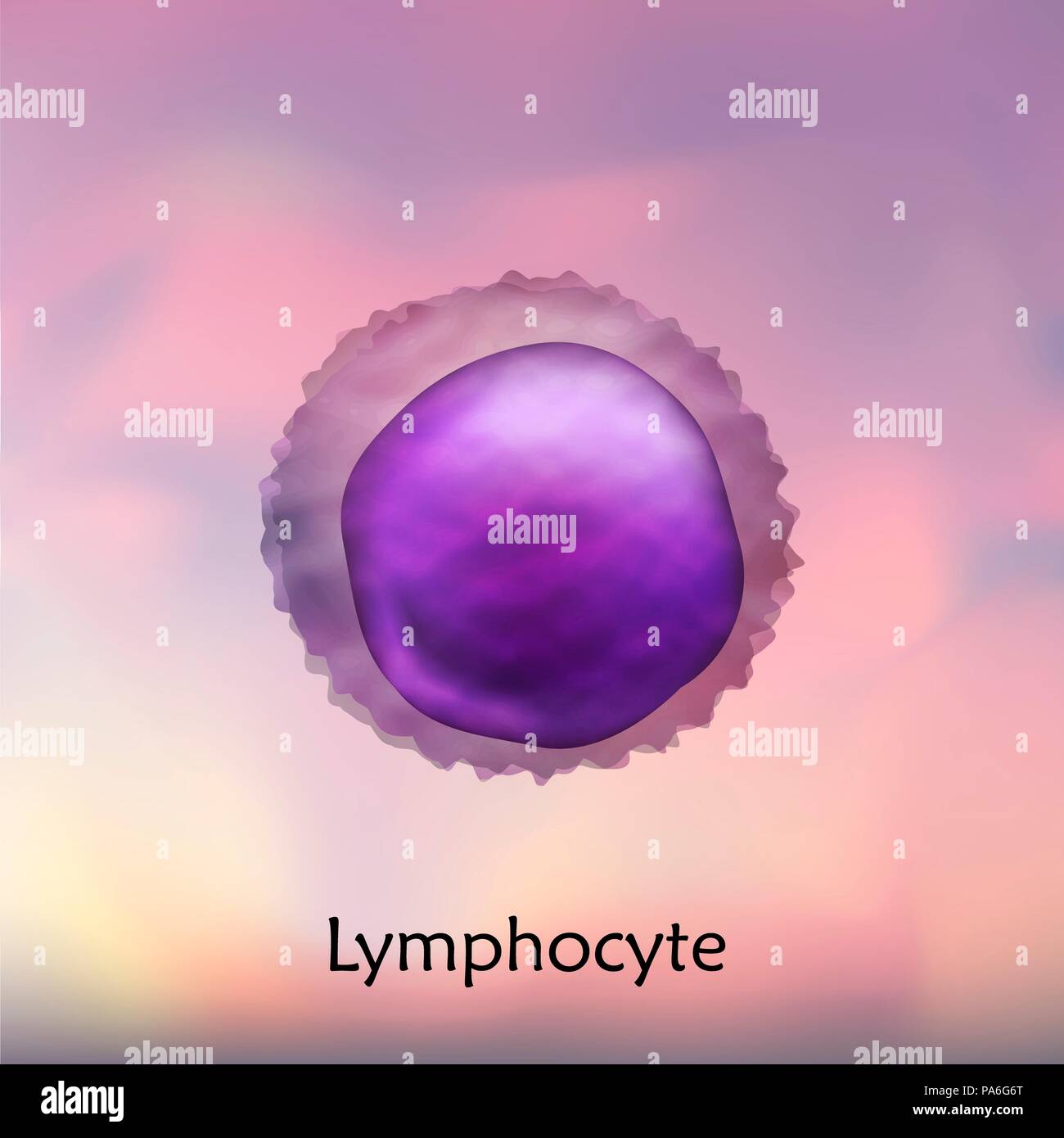 Lymphocyte white blood cell, illustration. Stock Photo