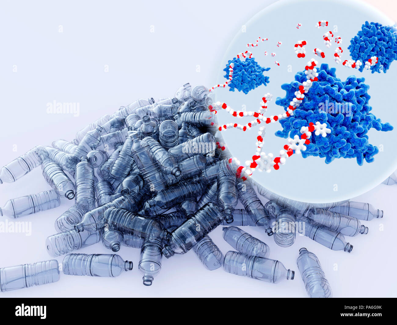 Protein degrading hires stock photography and images Alamy