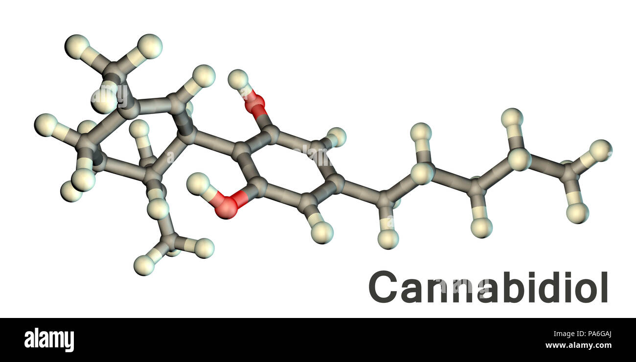 Cannabidiol, molecular model. Cannabidiol (CBD) is a cannabinoid chemical found in cannabis plants. Cannabis-derived drugs may be medically useful due to their ability to relieve pain and nausea, increase appetite and control muscle spasms. They may be beneficial to patients with multiple sclerosis, AIDS, cancer and chronic pain from nerve damage. The molecular formula for CBD is: C21.H30.O2. Atoms (spheres) are colour-coded: carbon (light grey), hydrogen (white), and oxygen (red). Stock Photo