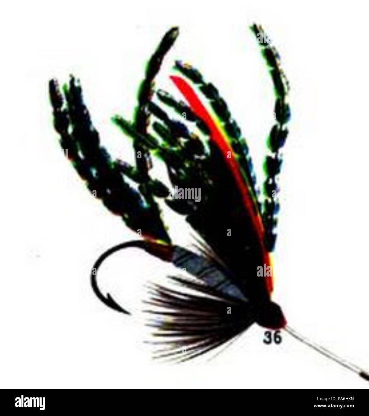 113 Alexandra from Favorite Flies and Their Histories (1892 Stock Photo