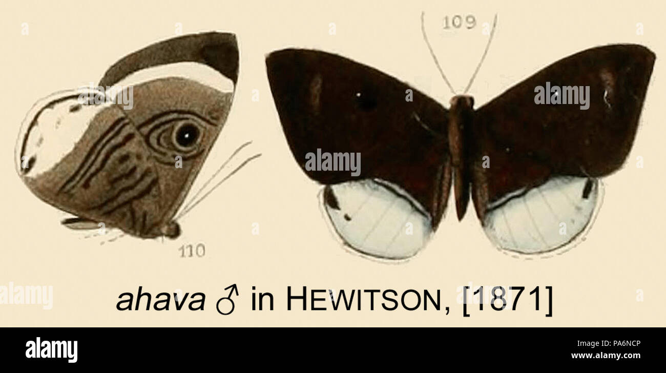 106 Ahava inHewitson1871 Stock Photo