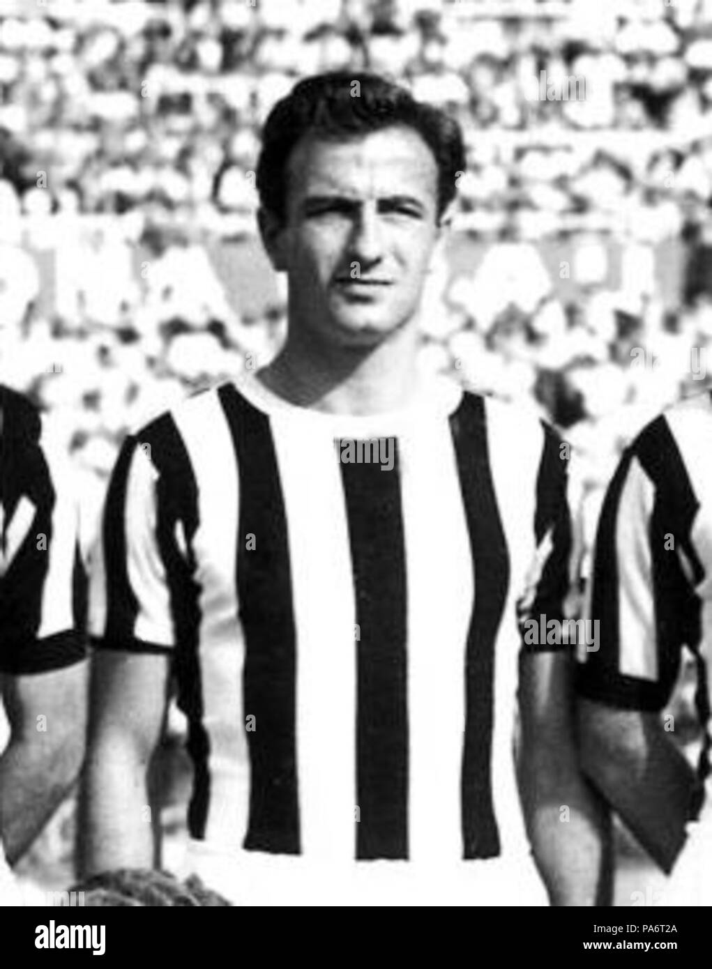 6 195152 Juventus Football Club Sergio Manente Stock