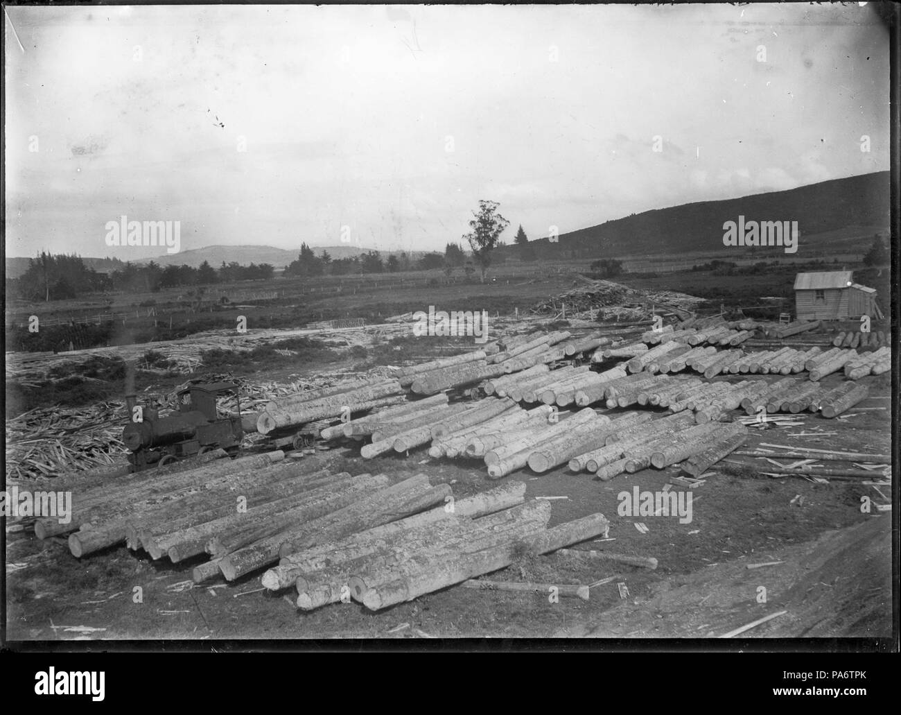 9 A fleet of white pine logs at Christie's Mill, Hikurangi, 1911. ATLIB
