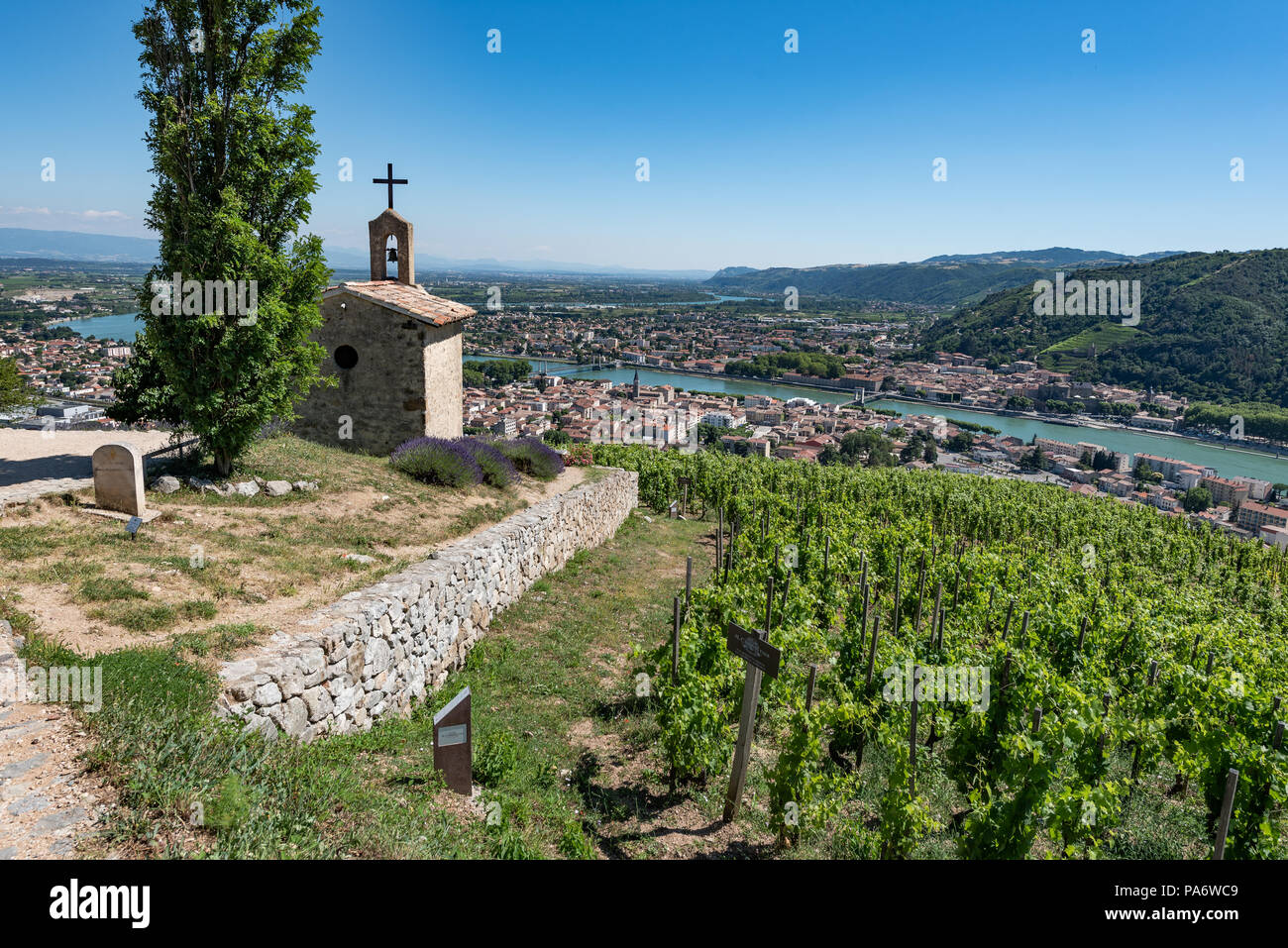 Hermitage vineyards at Tain l'Hermitage, Rhône Valley, France Stock Photo