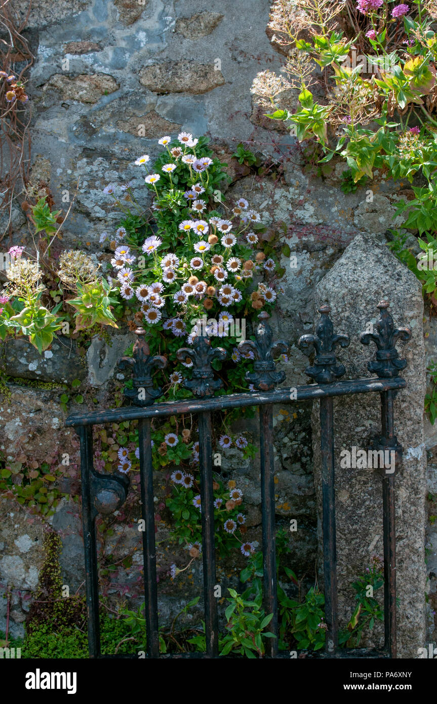 Gate and stone wall of a cottage in Mousehole, Cornwall UK Stock Photo Alamy