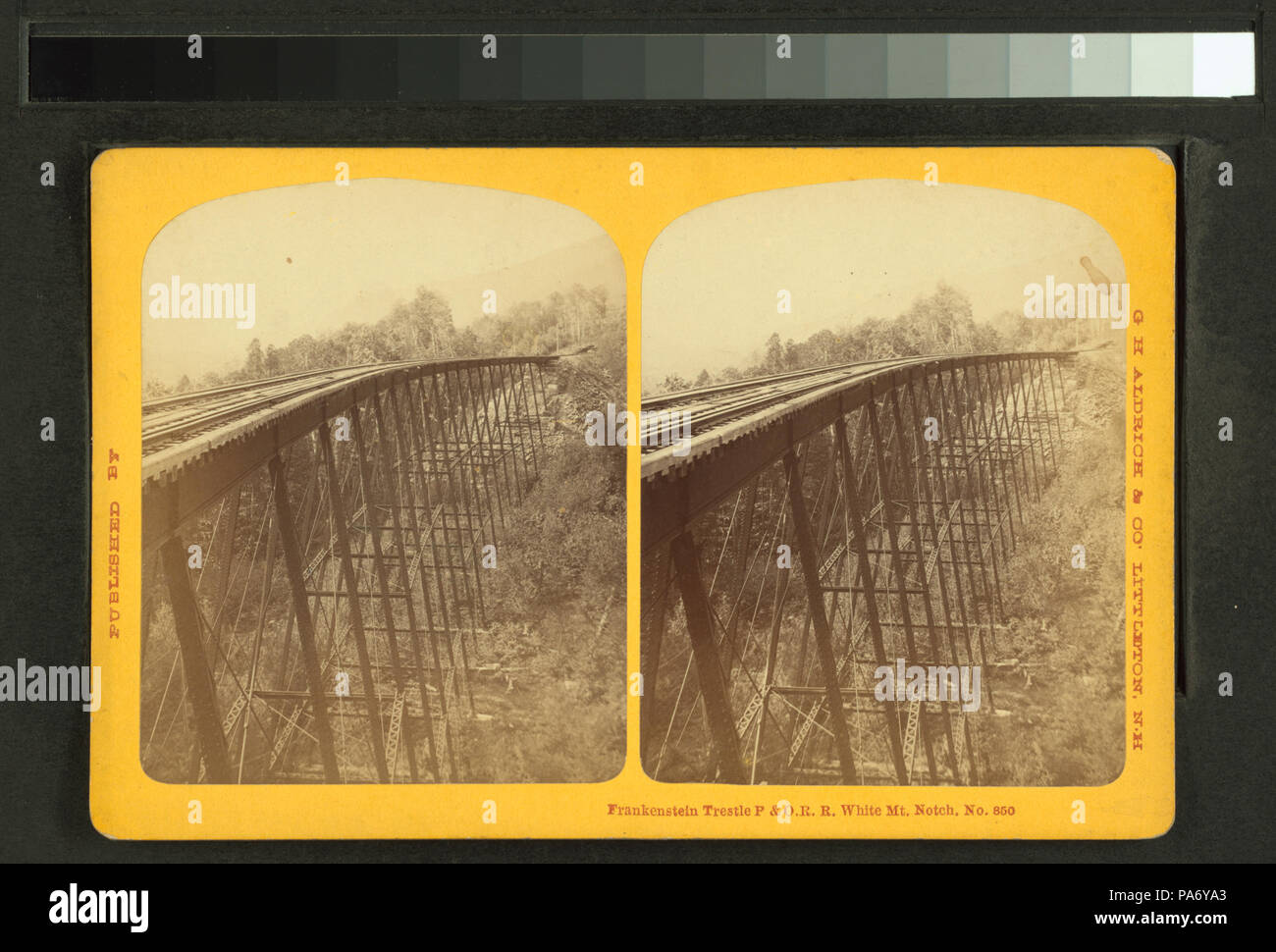 671 Frankenstein Trestle, P. & O.R.R., White Mts. Notch (NYPL b11708022 ...