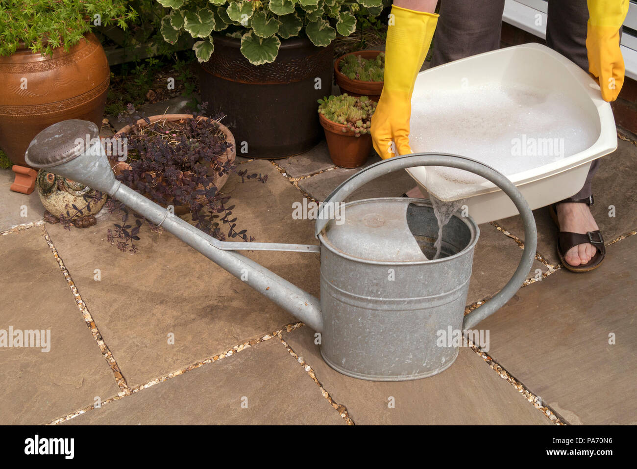 Melton Mowbray, UK. 20th July 2018. The continuing UK summer heatwave and requests from Severn Trent Water for consumers to save water leads gardeners to water their gardens using washing up (grey) water. Melton Mowbray, Leicestershire, UK. Photimageon/Alamy Live News Stock Photo