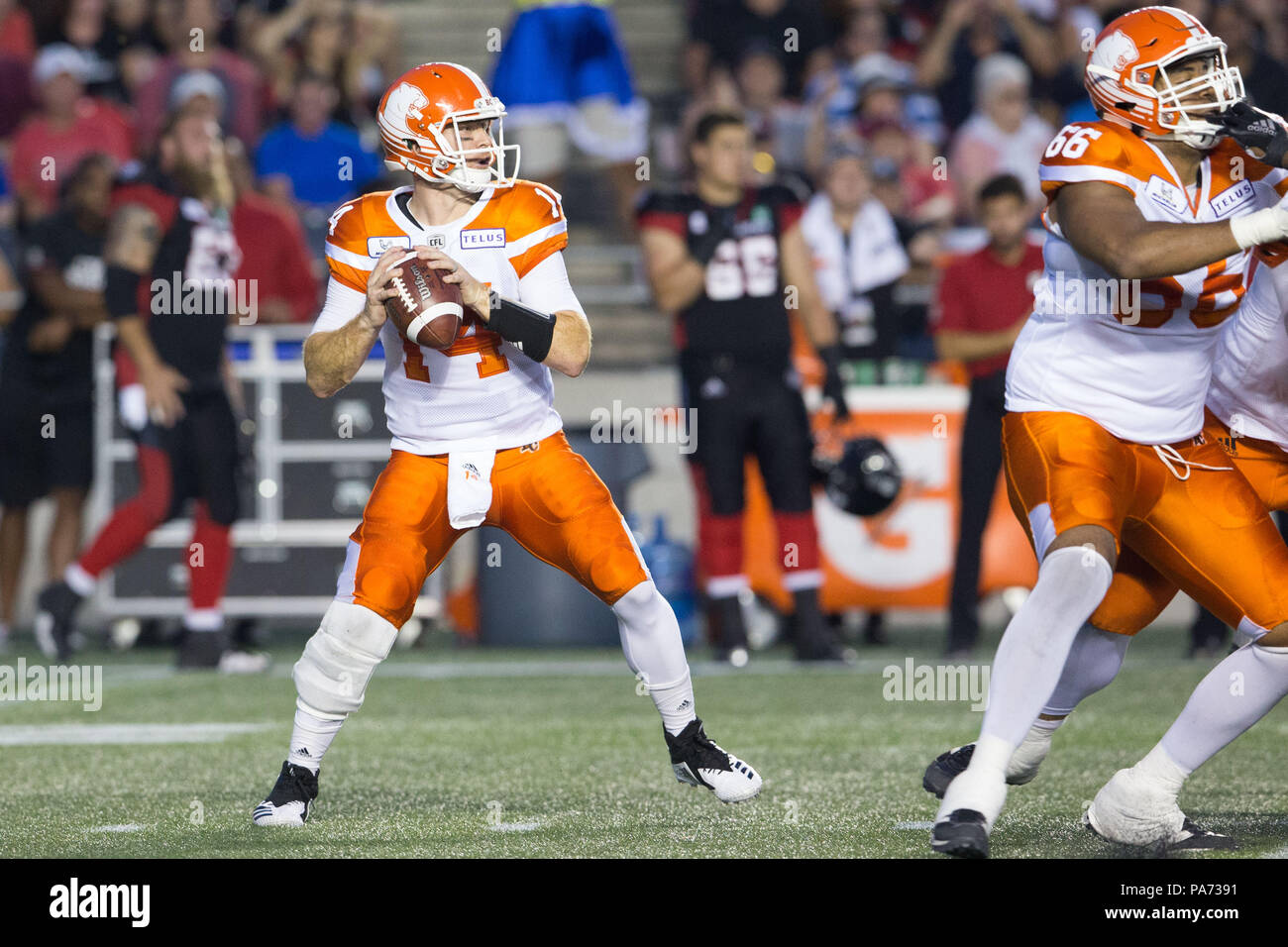Bc Lions High Resolution Stock Photography And Images Alamy