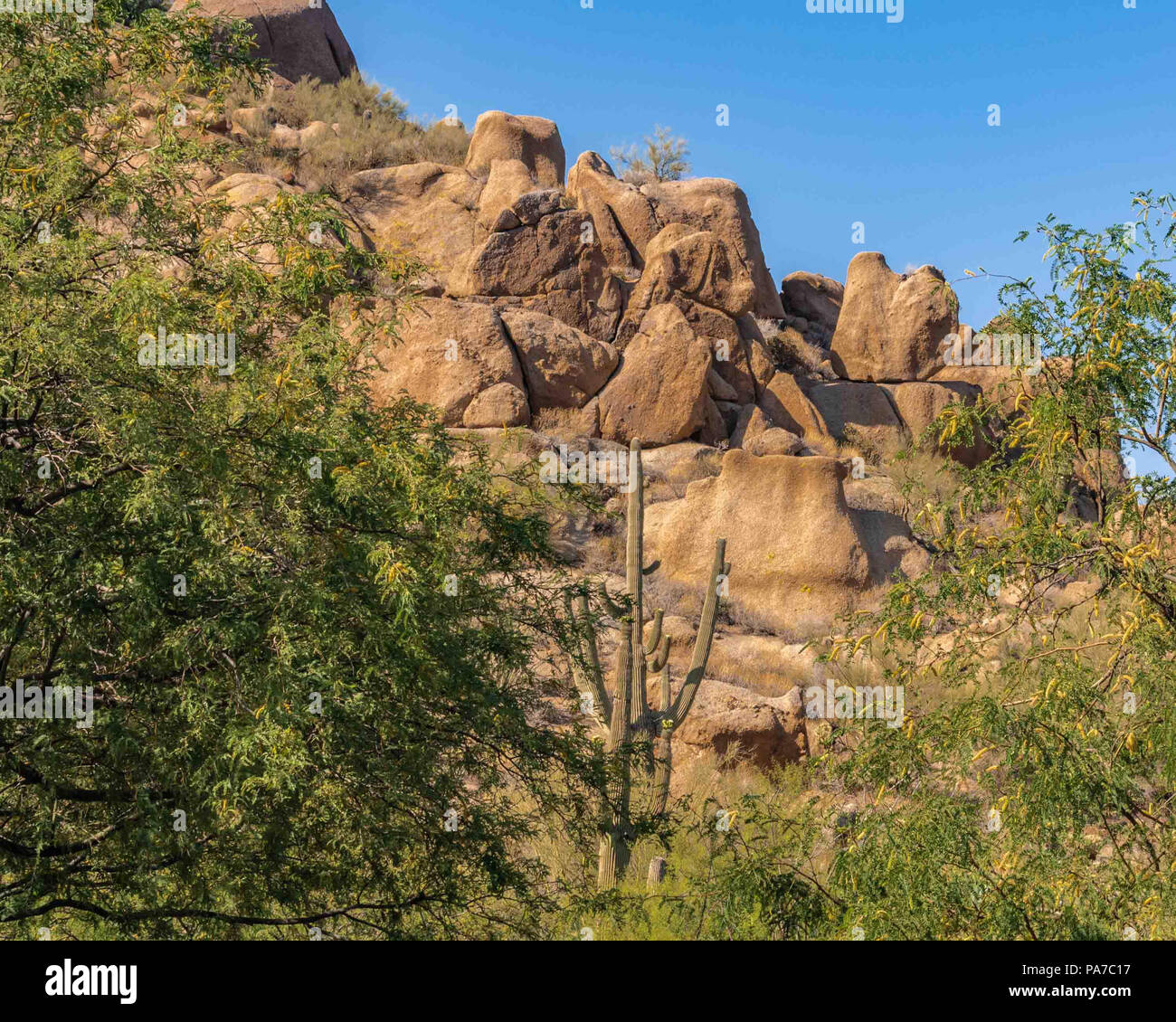 boulder boats phoenix boulder arizona arizona charlies boulder image with boulder boats phoenix boulder arizona arizona charlies boulder image with