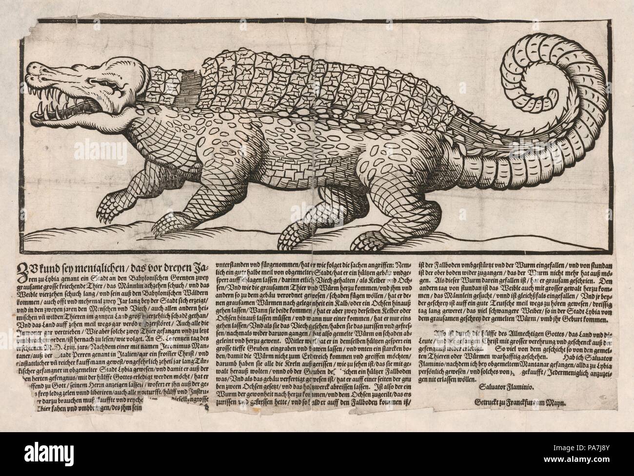 Popular print with representation of a Crocodile. Museum: PRIVATE COLLECTION. Stock Photo