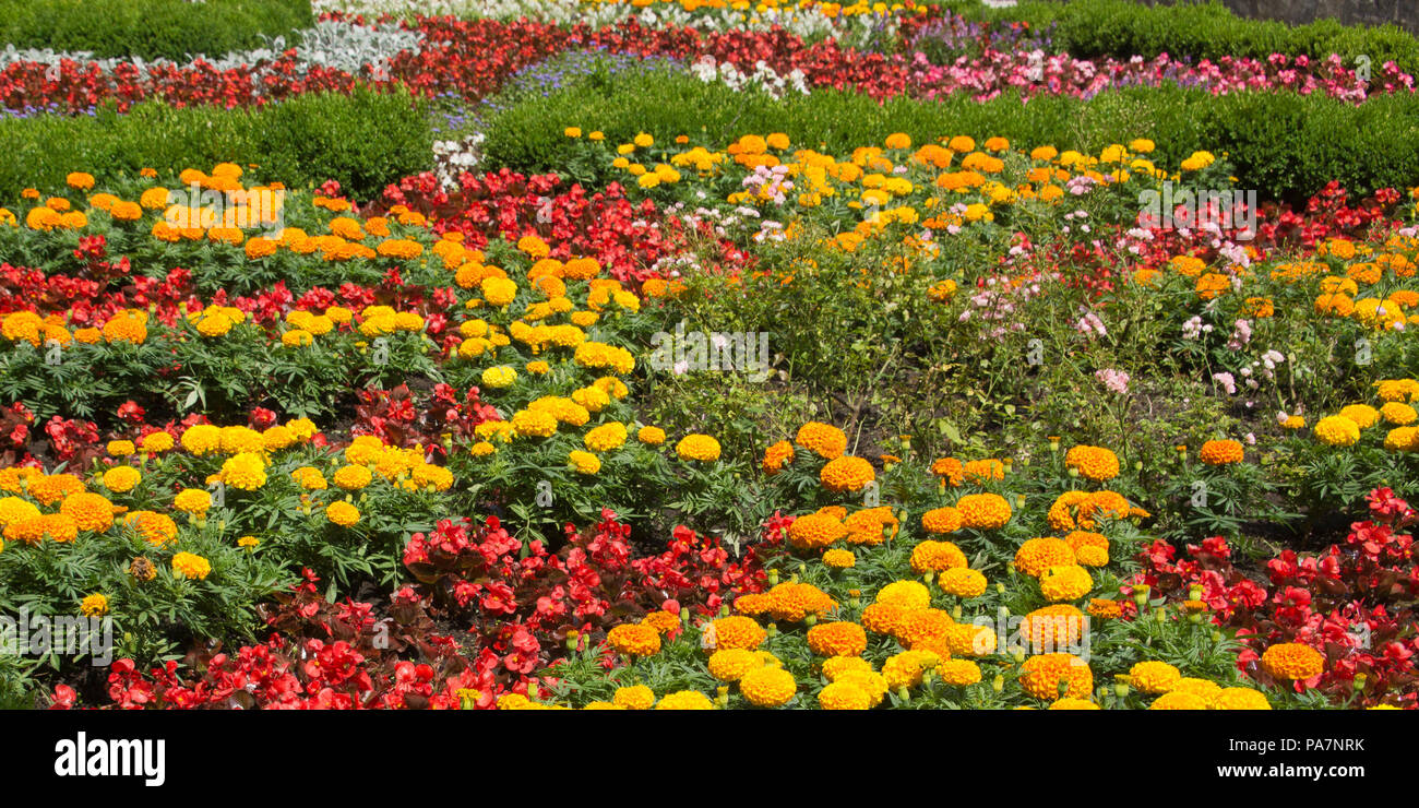 Beautiful flower patterns in the hanging garden in Lillafured in Northern Hungary Stock Photo