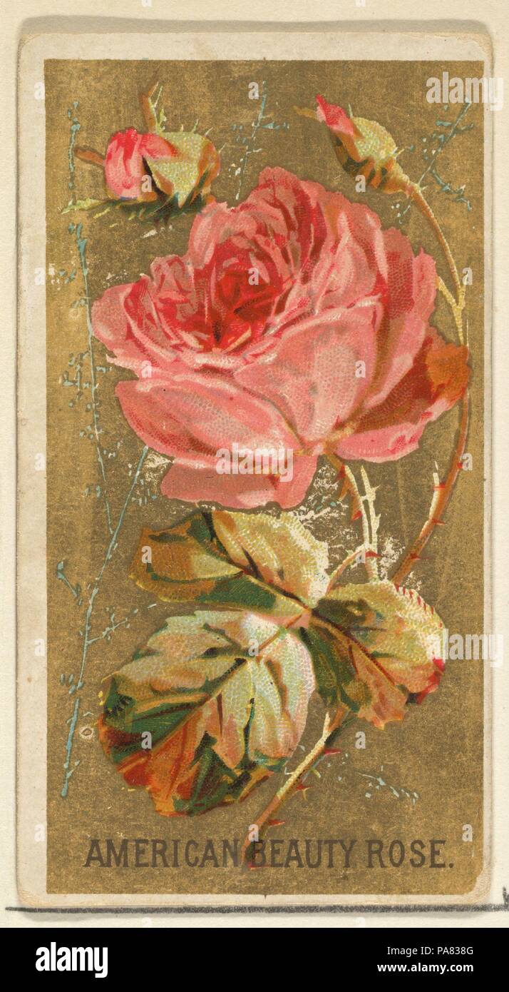 3 roses cigarettes Untitled Document Neoteven cigarety - 3 ROSES