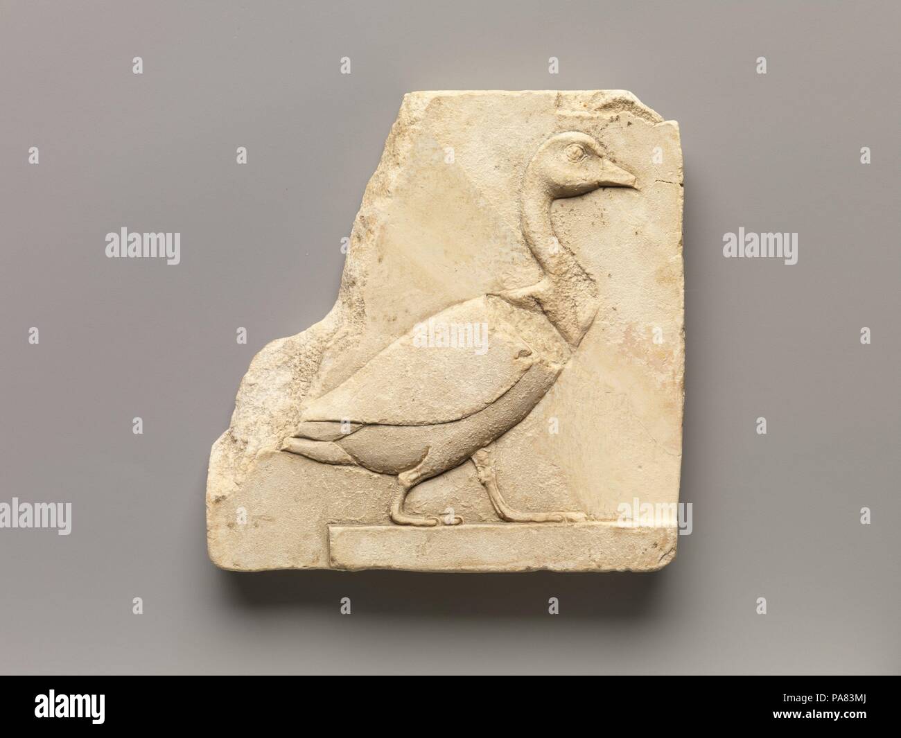 Relief of a goose. Dimensions: H. 12.3 x W. 12.2 x Th. 2 cm (4 13/16 x 4 13/16 x 13/16 in.). Date: 400-30 B.C..  Small Late Period and Ptolemaic reliefs or sculptures that depict a subject in a partial or unfinished way but are themselves finished objects constitute a special class of object. Guidelines like those for artists are often prominently exhibited as part of the object, although, in fact, many instances can be noted where the object simply could not serve as a suitable model for a traditional formal Egyptian representation. Personifications of kingship, figures that may represent the Stock Photo