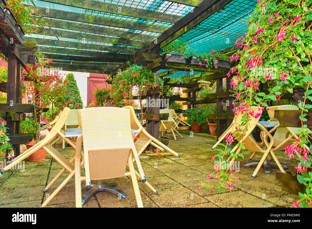 Abandoned outside terrace of restaurant. Little garden in restaurant. Garden style. Stock Photo